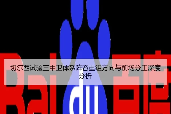 切尔西试验三中卫体系阵容重组方向与前场分工深度分析